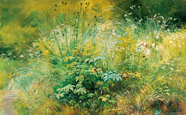  伊凡·伊凡诺维奇·希施金 Ivan I. Shishkin —— 花草